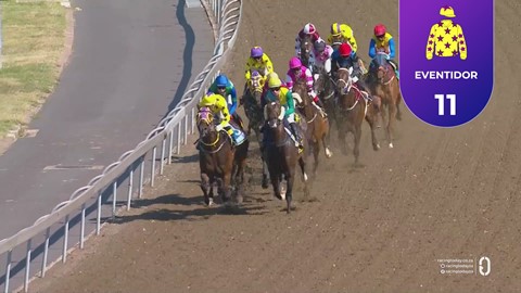 Hollywoodbets Greyville SA 28 Jan 2026 Race 6