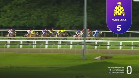 Hollywoodbets Greyville SA 30 Oct 2026 Race 8