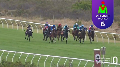 Hollywoodbets Kenilworth SA 04 Feb 2026 Race 2