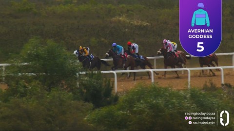 Fairview SA 14 Nov 2025 Race 5