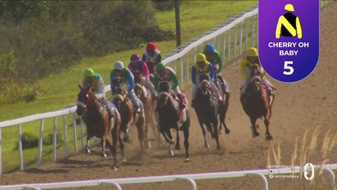 Fairview SA 08 May 2026 Race 5