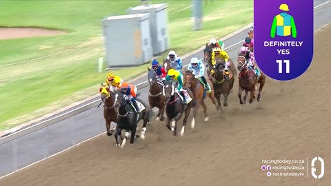 Hollywoodbets Greyville SA 13 May 2026 Race 8