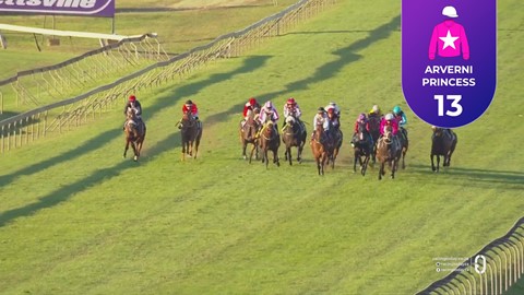 Hollywoodbets Scottsville SA 17 May 2026 Race 10