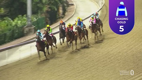 Hollywoodbets Greyville SA 03 Apr 2026 Race 4