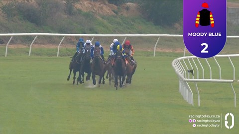 Hollywoodbets Durbanville SA 14 Jul 2026 Race 3