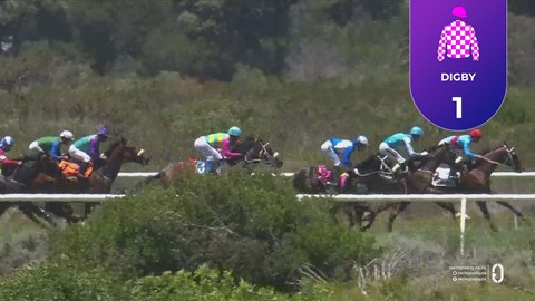 Hollywoodbets Kenilworth SA 04 Jan 2026 Race 2