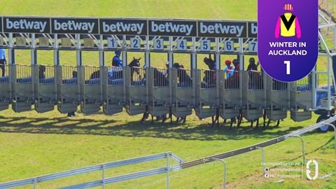 Turffontein SA 29 Aug 2026 Race 5