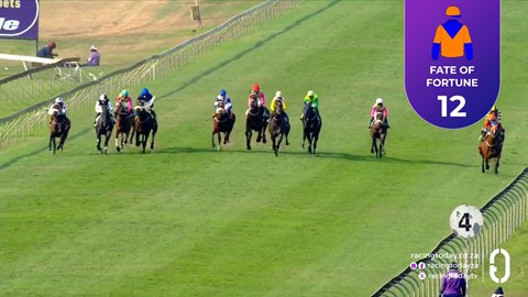 Hollywoodbets Scottsville SA 31 Aug 2025 Race 6