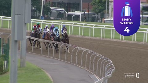 Hollywoodbets Greyville SA 27 Feb 2026 Race 2