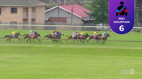 Hollywoodbets Scottsville SA 14 Dec 2025 Race 5