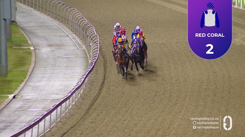 Hollywoodbets Greyville SA 14 Aug 2026 Race 8