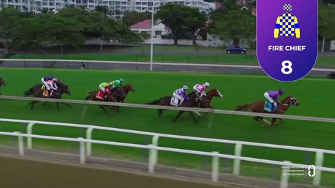 Hollywoodbets Greyville SA 24 Apr 2026 Race 3