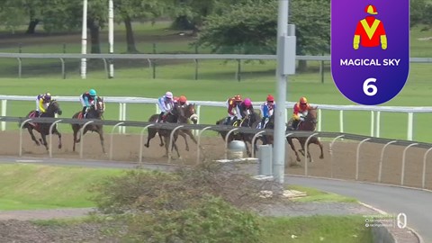 Hollywoodbets Greyville SA 08 Mar 2026 Race 5