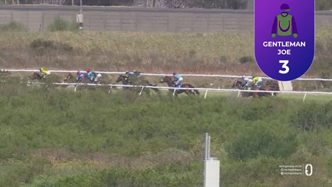 Hollywoodbets Kenilworth SA 04 Jan 2026 Race 5