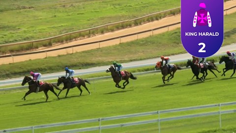 Turffontein SA 26 Feb 2026 Race 5