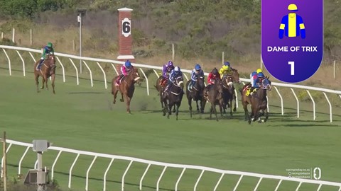 Hollywoodbets Kenilworth SA 15 Nov 2025 Race 9