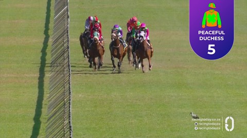 Hollywoodbets Scottsville SA 02 Aug 2026 Race 3
