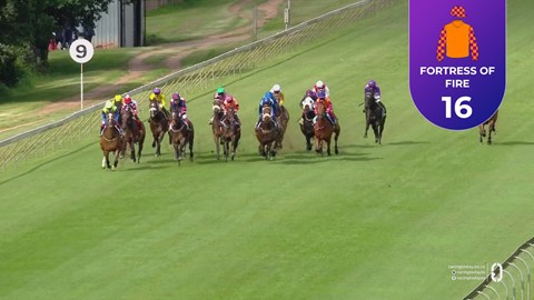 Hollywoodbets Scottsville SA 14 Dec 2025 Race 8