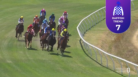 Hollywoodbets Durbanville SA 21 Jan 2026 Race 1