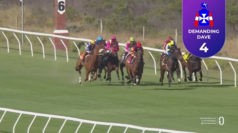 Hollywoodbets Kenilworth SA 15 Nov 2025 Race 8