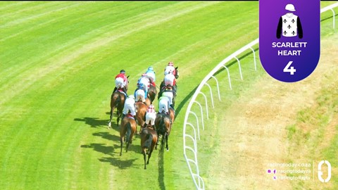 Turffontein SA 01 Feb 2026 Race 7