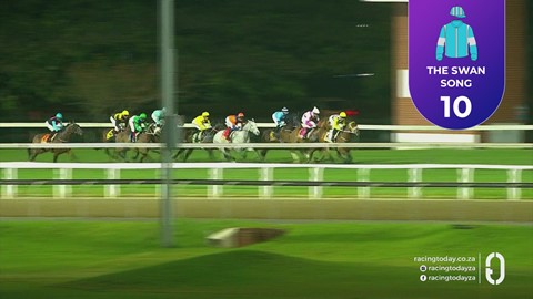 Hollywoodbets Greyville SA 28 Aug 2026 Race 7