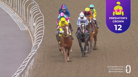 Hollywoodbets Greyville SA 20 Sep 2026 Race 2
