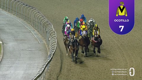 Hollywoodbets Greyville SA 09 Oct 2026 Race 8