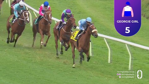 Hollywoodbets Durbanville SA 23 Sep 2026 Race 2