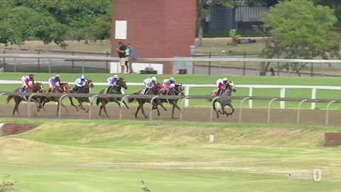 Hollywoodbets Greyville SA 06 Feb 2026 Race 1