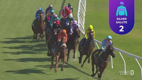 Hollywoodbets Kenilworth SA 24 Dec 2025 Race 8