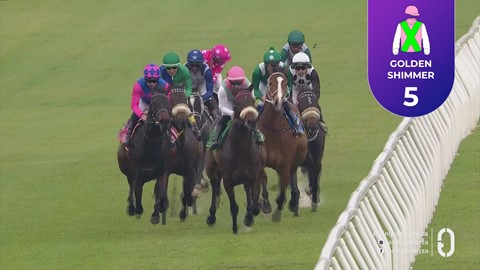 Hollywoodbets Kenilworth SA 15 Aug 2026 Race 3