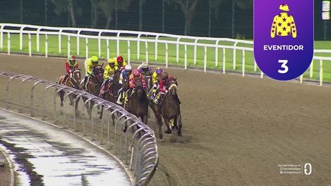 Hollywoodbets Greyville SA 28 Nov 2025 Race 6