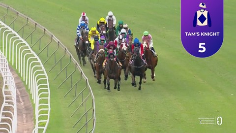 Hollywoodbets Greyville SA 11 Apr 2026 Race 8