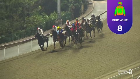 Hollywoodbets Greyville SA 17 Apr 2026 Race 4