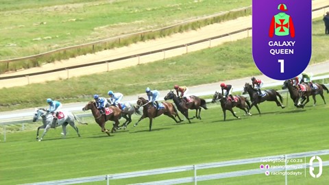 Turffontein SA 19 Feb 2026 Race 2