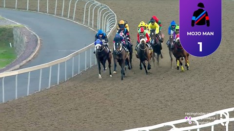 Hollywoodbets Greyville SA 27 May 2026 Race 8