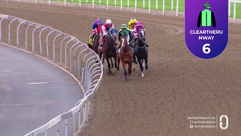 Hollywoodbets Greyville SA 20 Sep 2026 Race 7