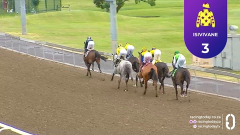 Hollywoodbets Greyville SA 07 Jan 2026 Race 3