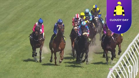 Hollywoodbets Durbanville SA 14 Oct 2026 Race 4