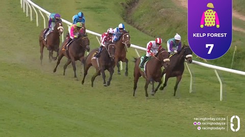 Hollywoodbets Durbanville SA 02 Sep 2026 Race 6