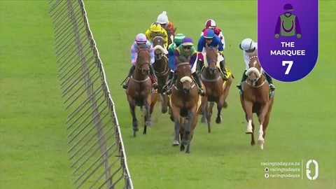 Hollywoodbets Scottsville SA 21 Sep 2026 Race 4