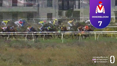 Hollywoodbets Kenilworth SA 08 Nov 2025 Race 3