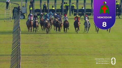 Hollywoodbets Scottsville SA 08 Jul 2026 Race 8
