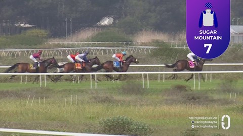 Hollywoodbets Kenilworth SA 15 Aug 2026 Race 2