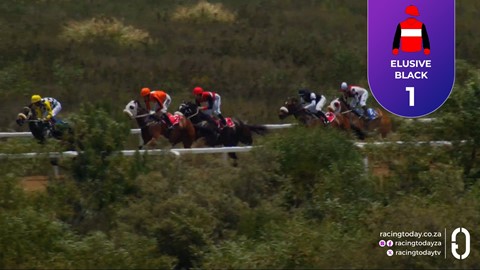 Fairview SA 14 Nov 2025 Race 1