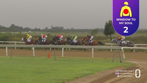TAB Fairview SA 18 Oct 2026 Race 1