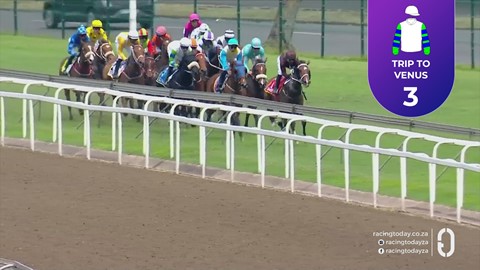 Hollywoodbets Greyville SA 25 Oct 2026 Race 2