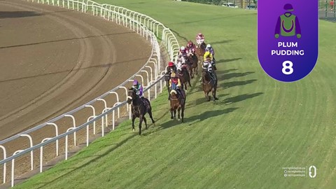 Hollywoodbets Greyville SA 19 Dec 2025 Race 3