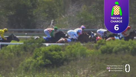 TAB Fairview SA 16 Oct 2026 Race 1